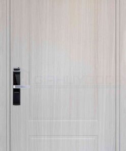 Cửa nhựa Composite B01-91