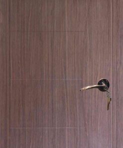 Cửa nhựa Composite B09-77