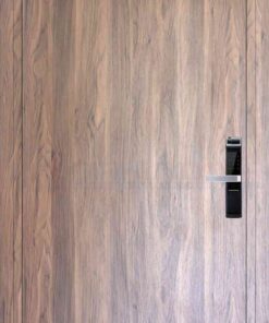 Cửa nhựa Composite B14-00