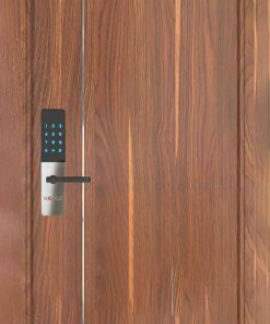Cửa gỗ cao cấp Hàn Quốc P1R1