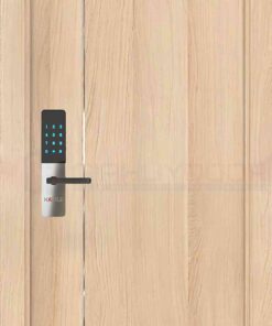 Cửa gỗ cao cấp Sài Gòn HDF Melammine P1R11