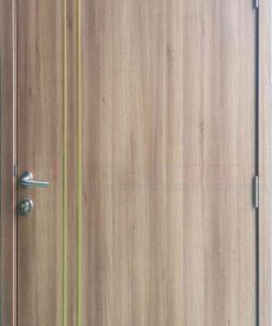 Cửa nhựa Composite P1R2L