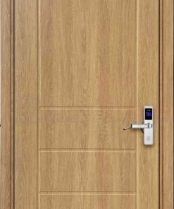 Cửa nhựa Composite SGD106-M11