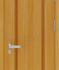 Cửa nhựa Composite 1B soi (2)