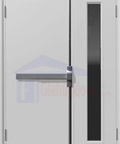 Cửa thép chống cháy TCC.P2G1-C1